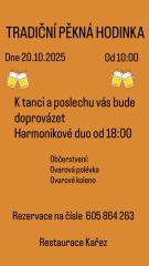 hudební vystoupení s tancem